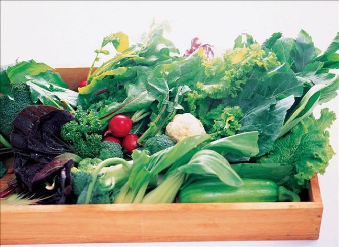 春季养肝必备的绿色蔬菜介绍